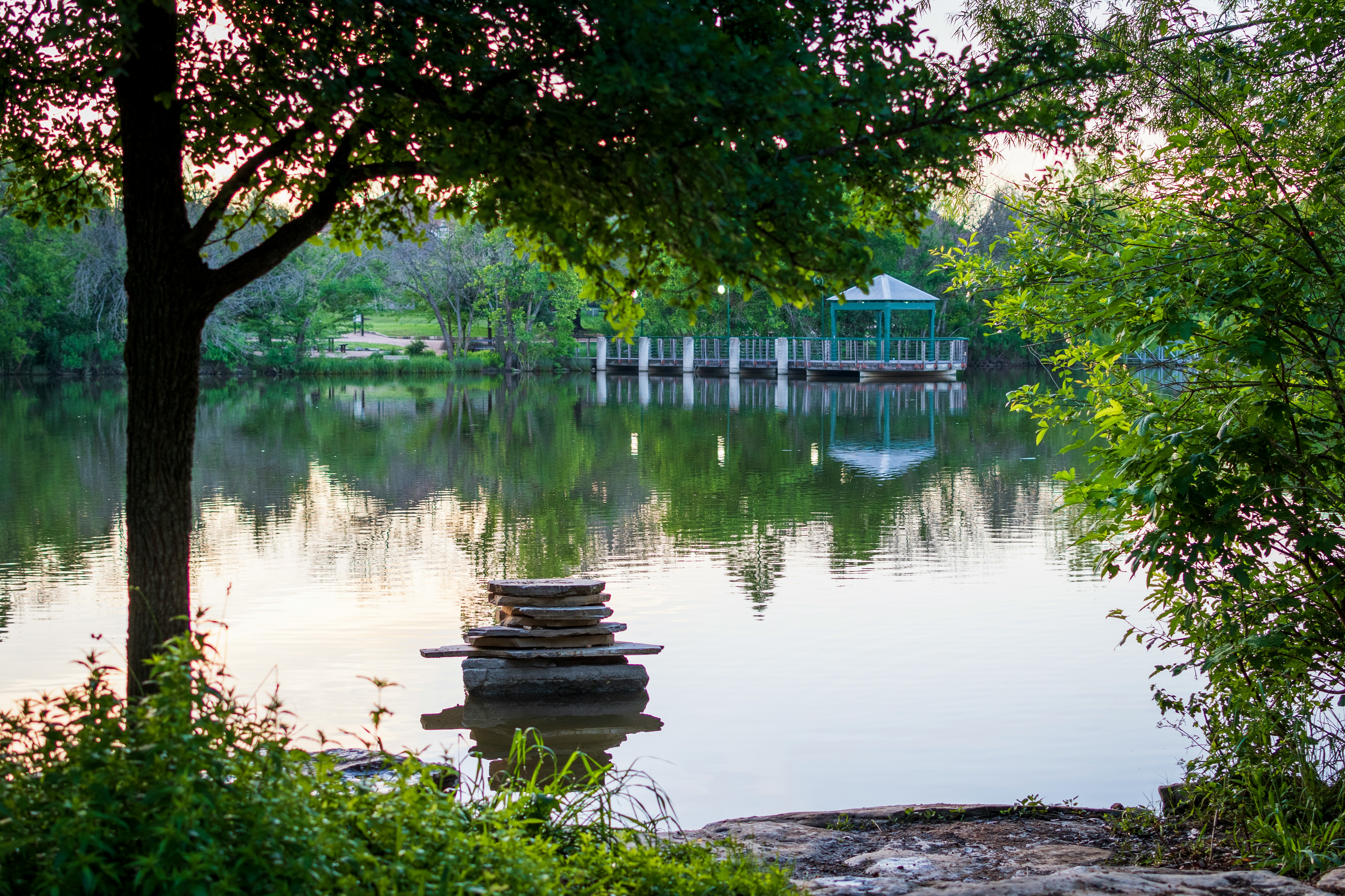 green trees beside body of water during daytime